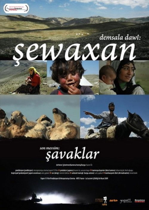 Son Mevsim: Şavaklar (2009) poster
