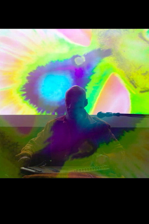 It's All Light: Laraaji at Nine Orchard (2025) poster