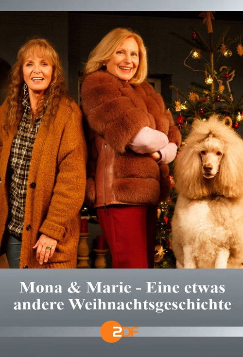 Mona & Marie - Eine etwas andere Weihnachtsgeschichte (2021) poster