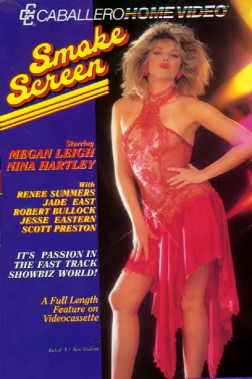 Smoke Screen (1990) poster