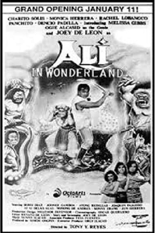 Ali In Wonderland (1991) poster
