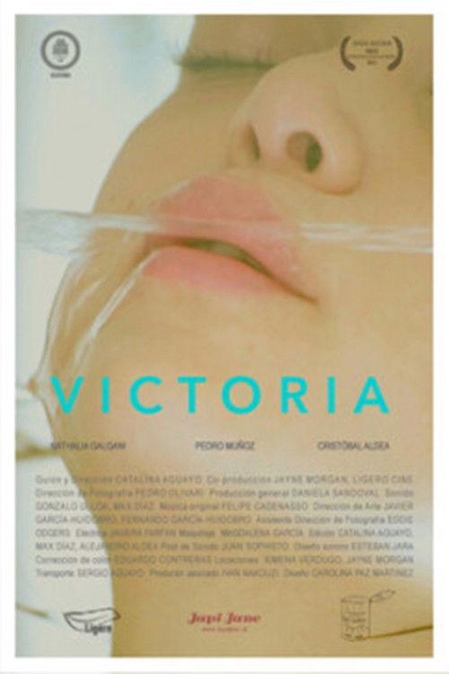 Victoria (2014) poster