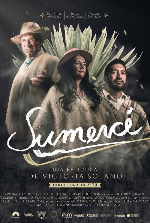 Sumercé (2019) poster
