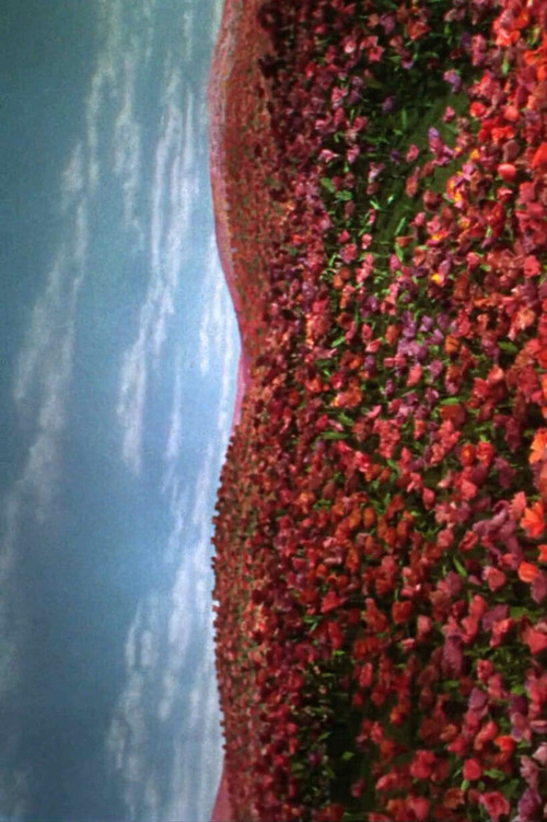 Insomnio doméstico (2024) poster