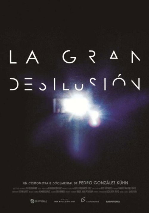 La gran desilusión (2013) poster