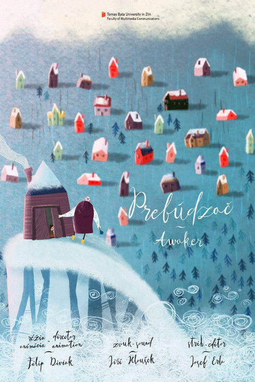 Awaker (2017) poster