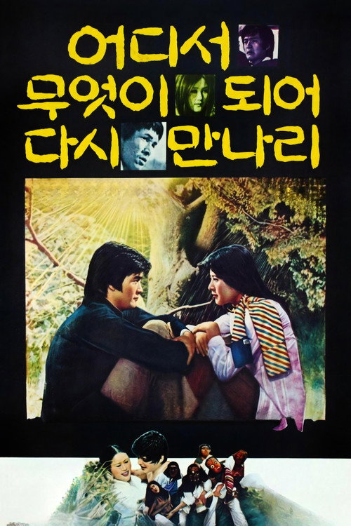 어디서 무엇이 되어 다시 만나리 (1977) poster