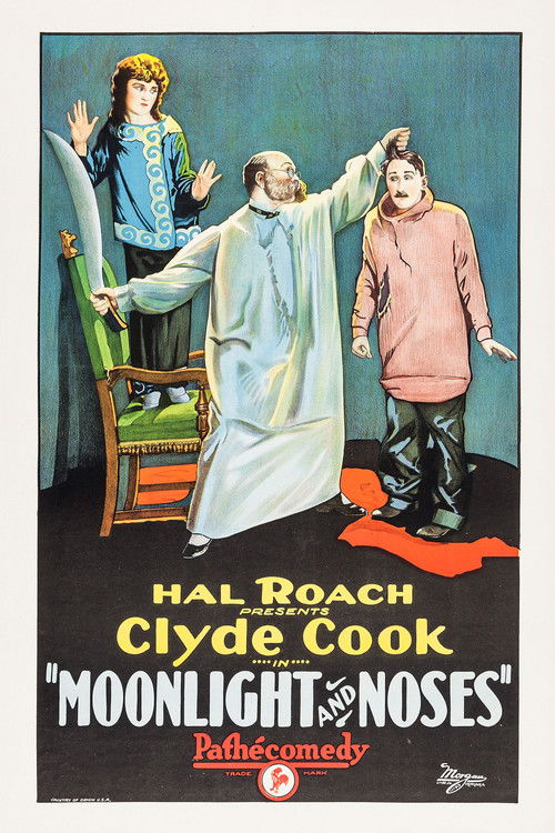 Moonlight and Noses (1925) poster