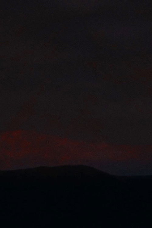 Geographical Accident (2025) poster