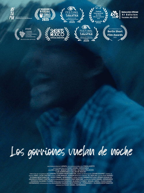 Los gorriones vuelan de noche (2025) poster