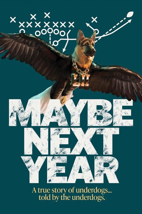 Maybe Next Year (2019) poster