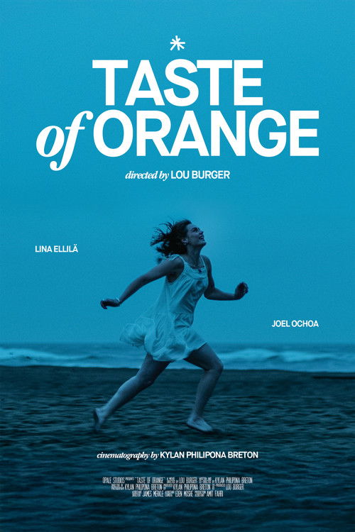 Taste of Orange (2025) poster