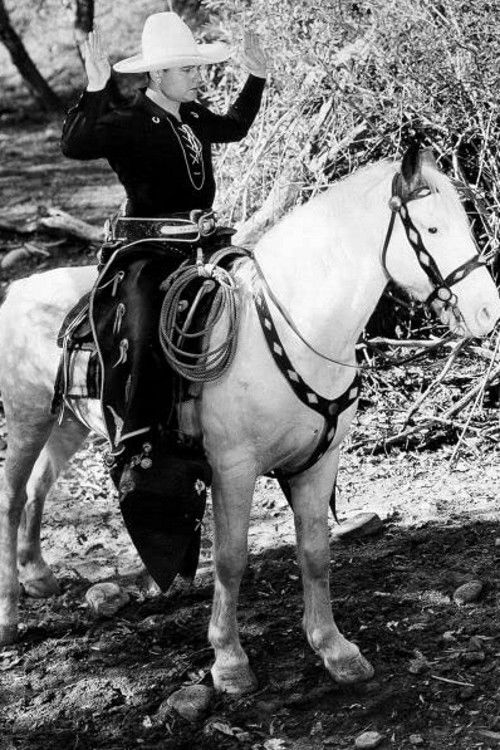 Border Vengeance (1935) poster