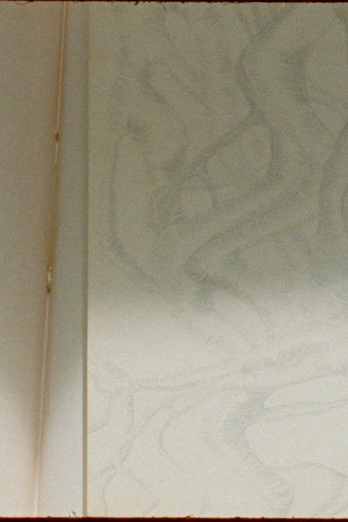 N'importe Quoi (Extérieur - Jour) (2024) poster