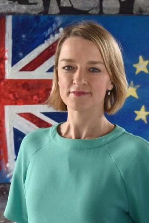 The Brexit Storm: Laura Kuenssberg's Inside Story (2019) poster