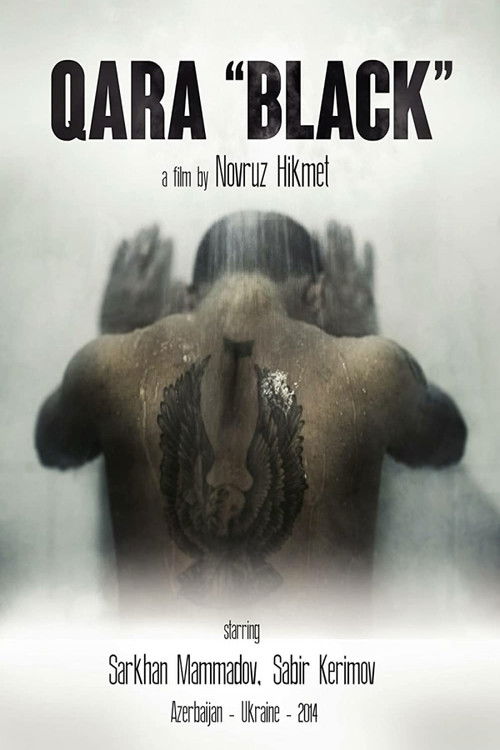 Qara (2014) poster