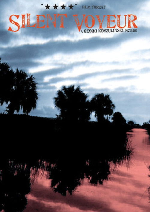 Silent Voyeur (2004) poster