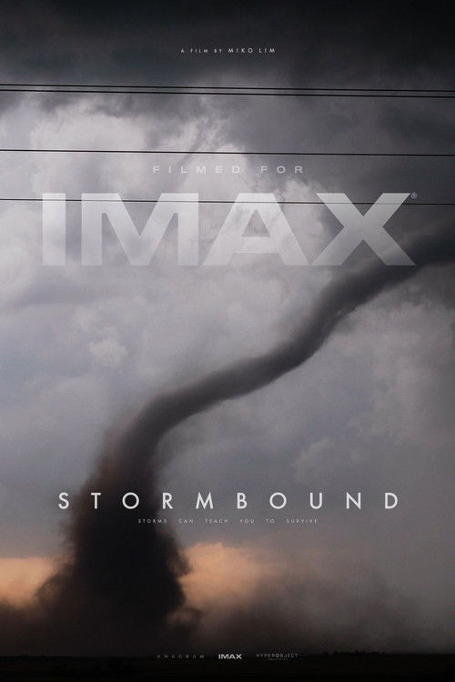 Stormbound (2026) poster