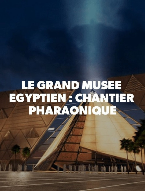 Egypt: Exploring The Largest Museum (2020) poster