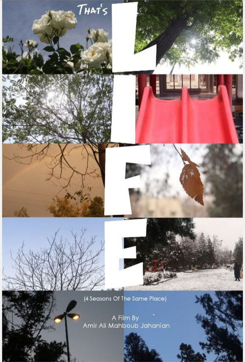 That's Life (2024) poster