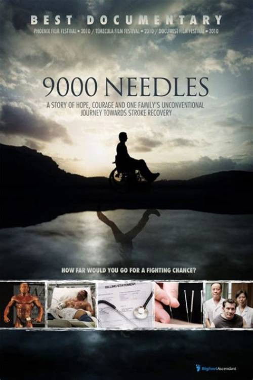 9000 Needles (2009) poster