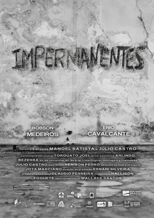 Impermanentes (2021) poster