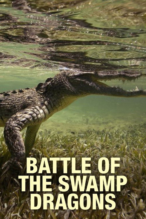Battle of the Swamp Dragons (2017) poster