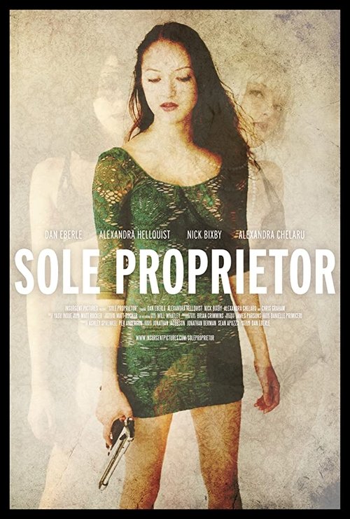 Sole Proprietor (2016) poster