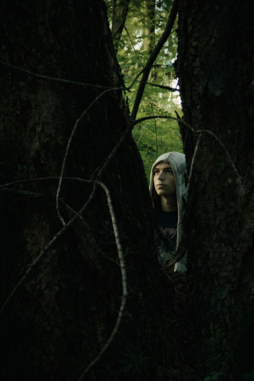 Comme des mouches (2011) poster