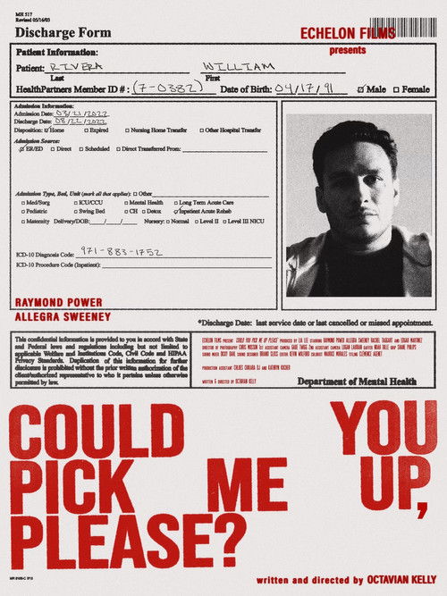 Could You Pick Me Up, Please? poster