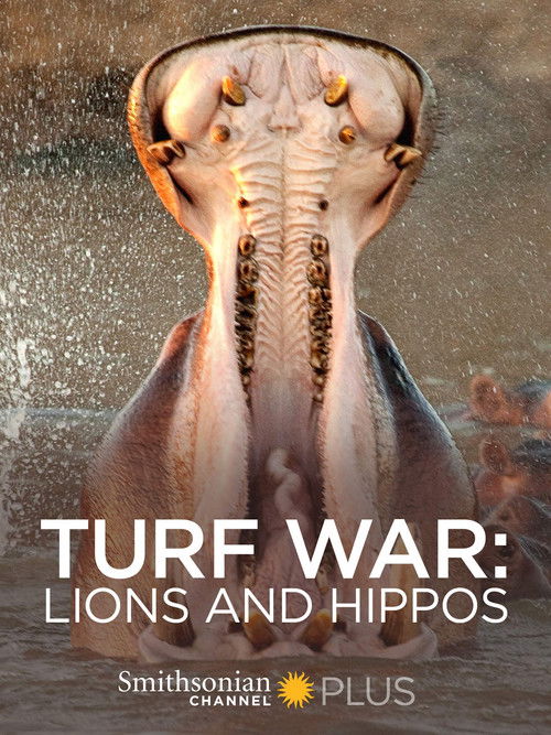 Turf War: Lions and Hippos (2009) poster