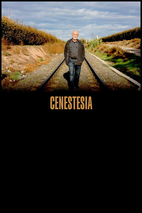 Cenestesia (2021) poster