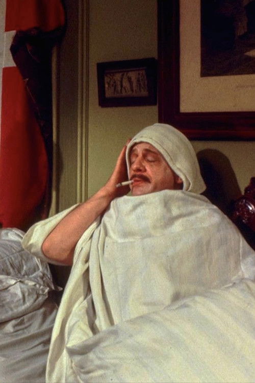 Komedie i grænselandet (1979) poster