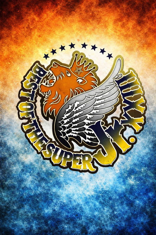 NJPW Best of the Super Junior 23 - Day 1 (2016) poster