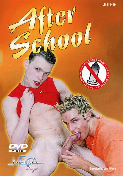After School (2005) poster