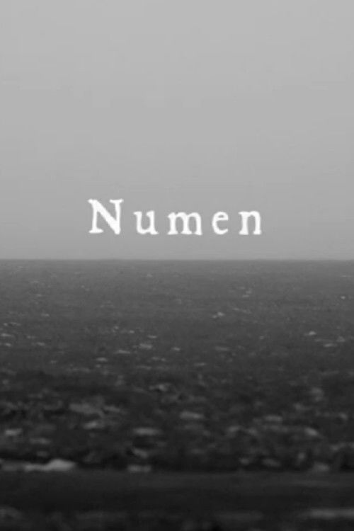 Numen (2014) poster