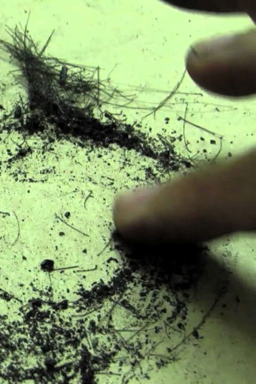 circles (2014) poster