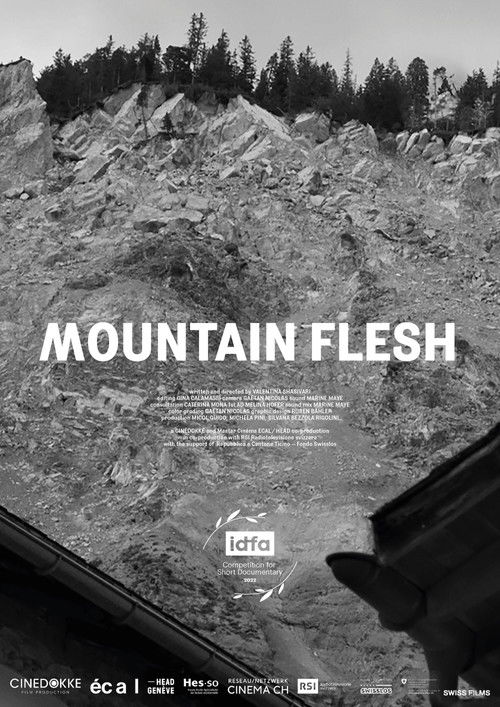 Mountain Flesh (2022) poster