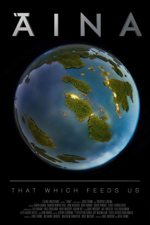 Aina: That Which Feeds Us (2016) poster