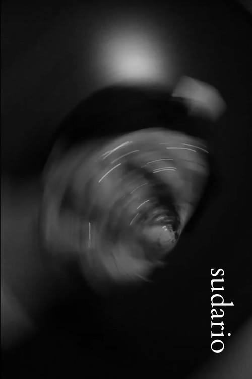 Sudario (2024) poster