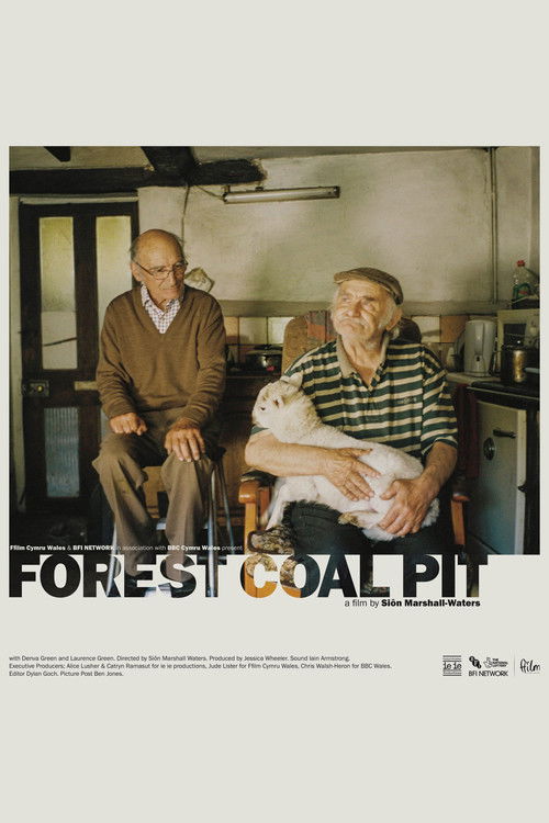 Forest Coal Pit (2022) poster