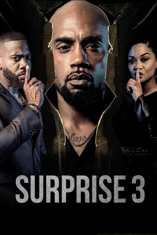 Surprise 3 (2024) poster