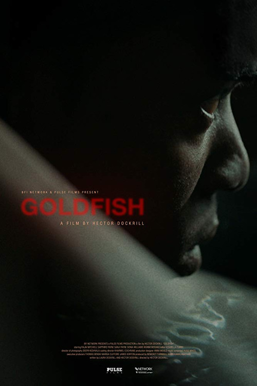 Goldfish (2019) poster