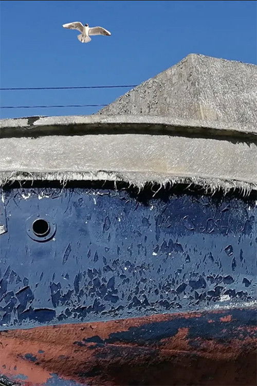 Petticoat Fire (2024) poster