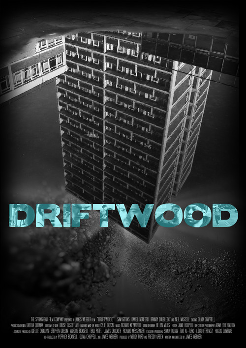 Driftwood (2012) poster