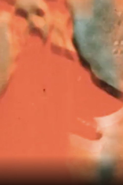 Brute Charm (1989) poster