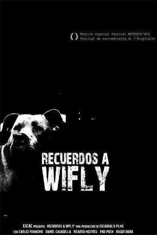 Recuerdos a Wifly (2009) poster