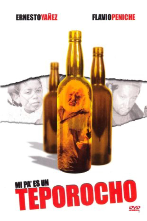 Memorias de un borracho (2004) poster