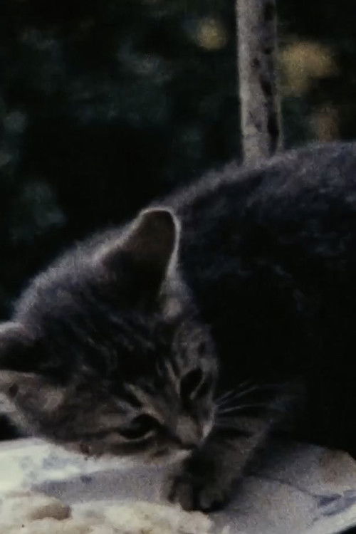 Padres (1975) poster