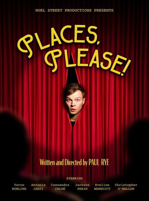 Places, Please! (2024) poster